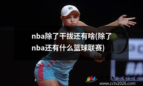 nba除了干拔还有啥(除了nba还有什么篮球联赛)