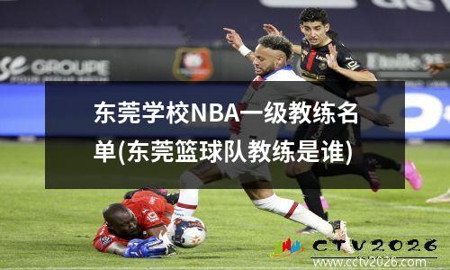 东莞学校NBA一级教练名单(东莞篮球队教练是谁)