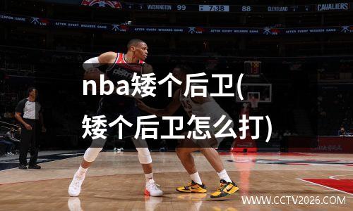 nba矮个后卫(矮个后卫怎么打)
