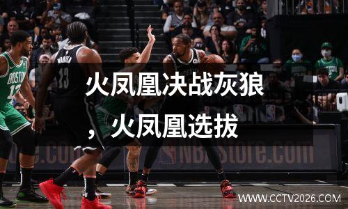 火凤凰决战灰狼，火凤凰选拔