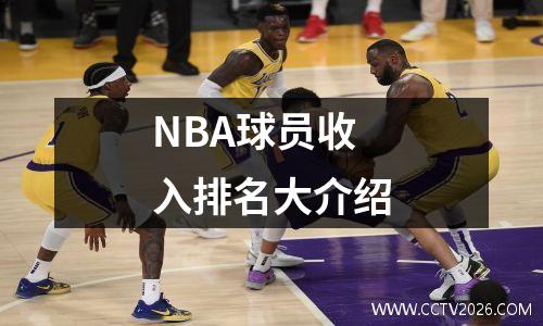 NBA球员收入排名大介绍