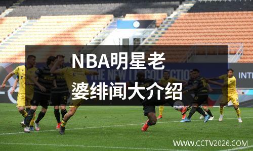 NBA明星老婆绯闻大介绍