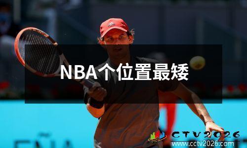 NBA个位置最矮