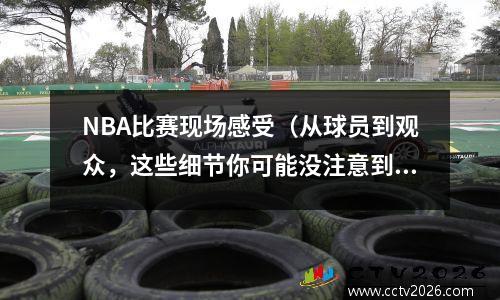 NBA比赛现场感受（从球员到观众，这些细节你可能没注意到）