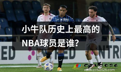 小牛队历史上最高的NBA球员是谁？