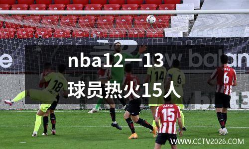 nba12一13球员热火15人