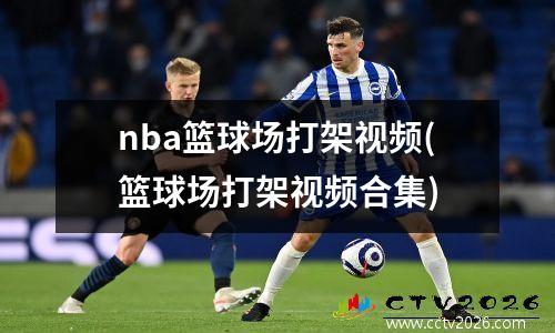 nba篮球场打架视频(篮球场打架视频合集)