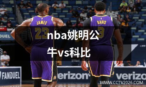 nba姚明公牛vs科比