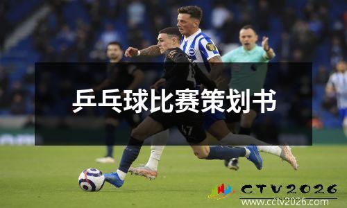 乒乓球比赛策划书