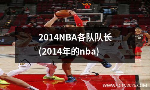 2014NBA各队队长(2014年的nba)