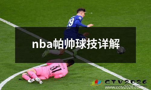 nba帕帅球技详解