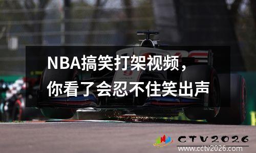 NBA搞笑打架视频，你看了会忍不住笑出声