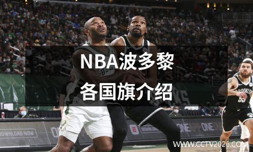 NBA波多黎各国旗介绍