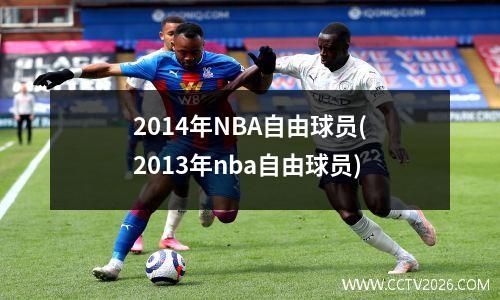 2014年NBA自由球员(2013年nba自由球员)