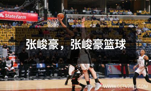 张峻豪，张峻豪篮球