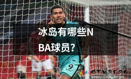 冰岛有哪些NBA球员？