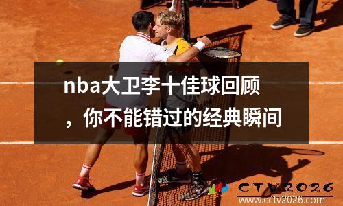 nba大卫李十佳球回顾，你不能错过的经典瞬间