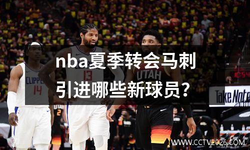 nba夏季转会马刺引进哪些新球员？