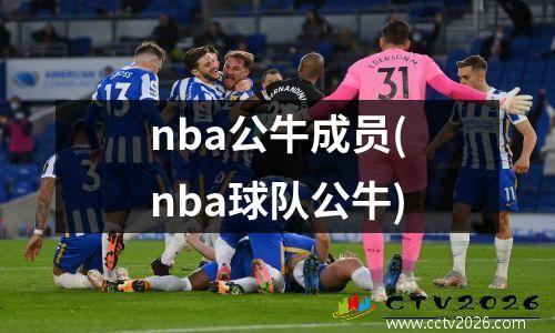 nba公牛成员(nba球队公牛)