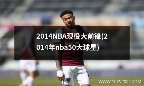 2014NBA现役大前锋(2014年nba50大球星)