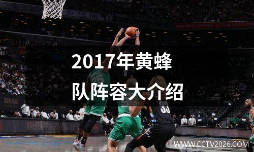 2017年黄蜂队阵容大介绍