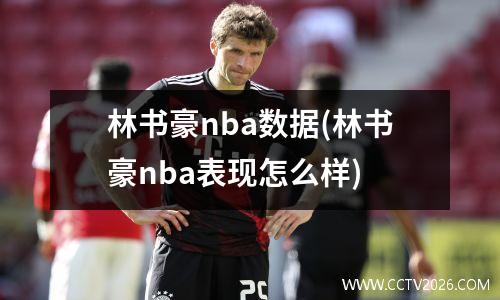 林书豪nba数据(林书豪nba表现怎么样)
