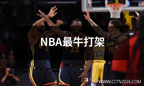 NBA最牛打架