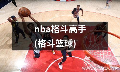 nba格斗高手(格斗篮球)