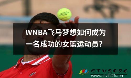 WNBA飞马梦想如何成为一名成功的女篮运动员？