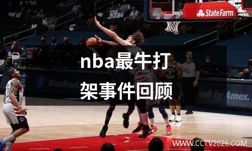 nba最牛打架事件回顾