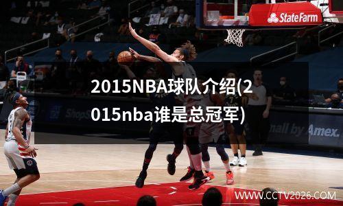 2015NBA球队介绍(2015nba谁是总冠军)