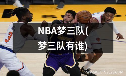 NBA梦三队(梦三队有谁)