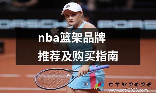 nba篮架品牌推荐及购买指南