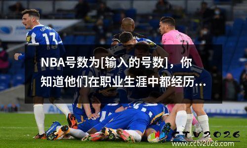 NBA号数为[输入的号数]，你知道他们在职业生涯中都经历了什么吗？