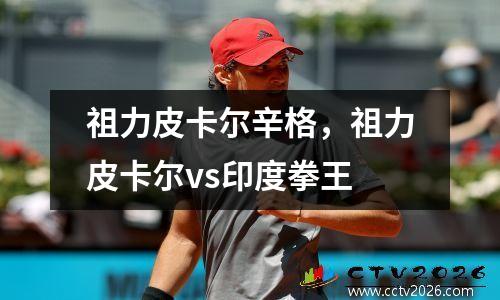 祖力皮卡尔辛格，祖力皮卡尔vs印度拳王
