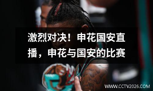激烈对决！申花国安直播，申花与国安的比赛