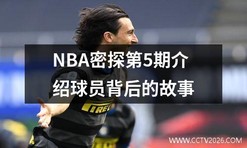NBA密探第5期介绍球员背后的故事