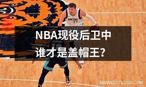 NBA现役后卫中谁才是盖帽王？