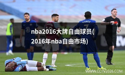 nba2016大牌自由球员(2016年nba自由市场)