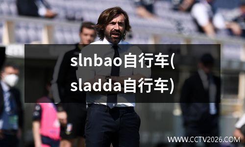 slnbao自行车(sladda自行车)