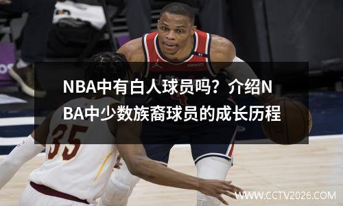 NBA中有白人球员吗？介绍NBA中少数族裔球员的成长历程