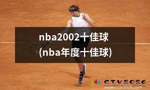 nba2002十佳球(nba年度十佳球)