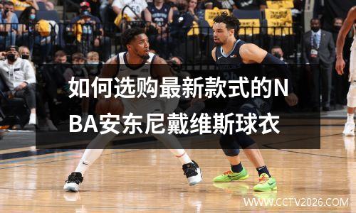如何选购最新款式的NBA安东尼戴维斯球衣