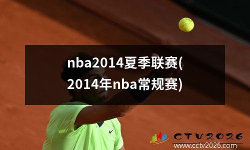 nba2014夏季联赛(2014年nba常规赛)