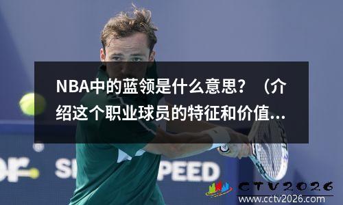NBA中的蓝领是什么意思？（介绍这个职业球员的特征和价值）