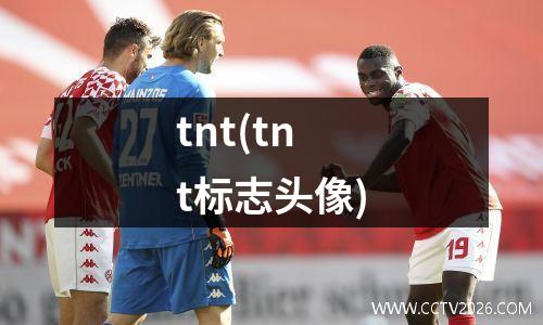 tnt(tnt标志头像)