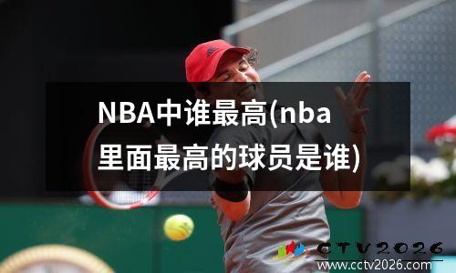 NBA中谁最高(nba里面最高的球员是谁)