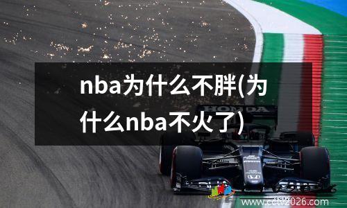 nba为什么不胖(为什么nba不火了)
