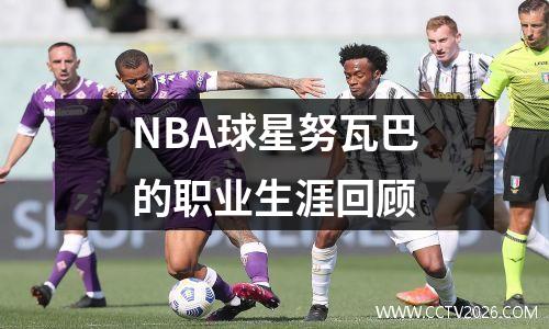 NBA球星努瓦巴的职业生涯回顾