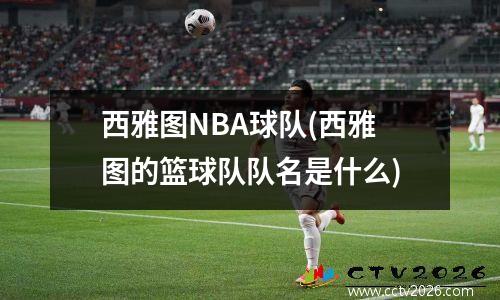 西雅图NBA球队(西雅图的篮球队队名是什么)